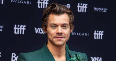 Harry Styles Frolics Through Circus Grounds, Walks the Tightrope in ‘Daylight’ Music Video - www.usmagazine.com
