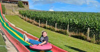 The farm with 150ft water slide and huge maze shaped like a train 90 minutes from Manchester - www.manchestereveningnews.co.uk - Manchester