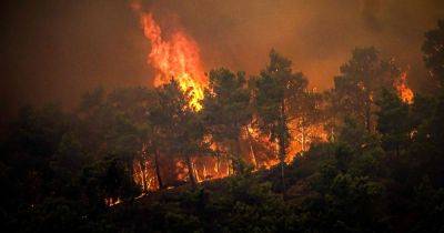 Jet2 and TUI cancel all flights and holidays to Rhodes as wildfire rages on - www.dailyrecord.co.uk - Britain - Greece