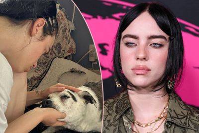 Billie Eilish Mourns The Death Of Her Childhood Dog In Heartbreaking Post: ‘I’ll Miss You Forever’ - perezhilton.com