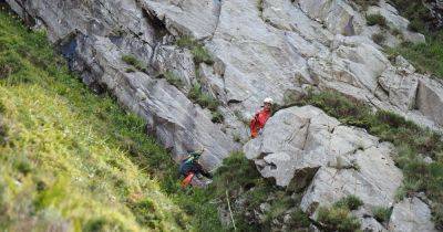 Woman gets stuck on cliff after falcon attacks her pet parrot - www.manchestereveningnews.co.uk