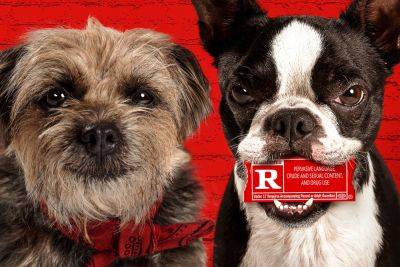 ‘Strays’ Trailer: Will Ferrell And Jamie Foxx Go To The Dogs In Raunchy New Comedy - etcanada.com - Australia - USA - Boston - state Nebraska