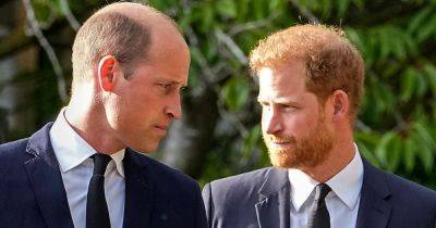 Prince Harry and William's 'peace talks' are 'untrue' as brothers' feud continues - www.ok.co.uk - county Young
