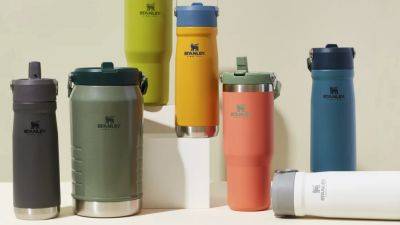 So Many Stanley Tumblers, Mugs and Water Bottles Are Secretly On Sale with This Discount Code - www.etonline.com