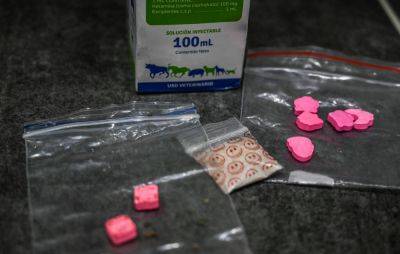 Festivals threaten legal action over government drug-testing U-turn - www.nme.com