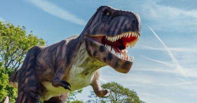 40 life-sized dinosaurs will be taking over Heaton Park this school holidays - www.manchestereveningnews.co.uk - Manchester