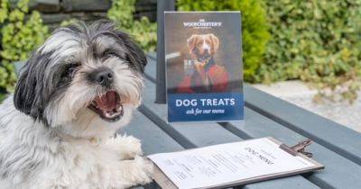Didsbury pub has introduced a new DOG menu with ‘yappy meal’ and ‘paw-star martini’ - www.manchestereveningnews.co.uk - Britain - county Barrow