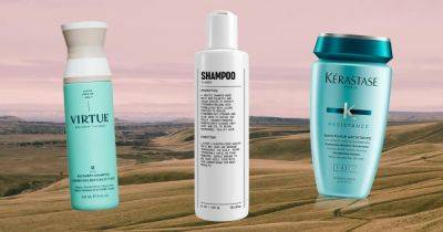 13 Best Shampoos for Dry, Damaged Hair - www.usmagazine.com - Beyond