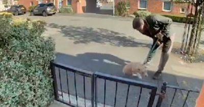 Man captured repeatedly striking puppy in residential street as RSPCA probe launched - www.dailyrecord.co.uk - Scotland - Beyond