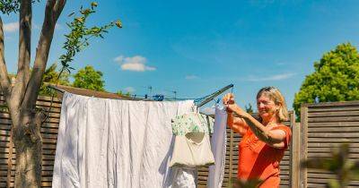 Woman's 'harsh' revenge plot on neighbour hanging laundry on shared fence - www.dailyrecord.co.uk - Britain - Beyond