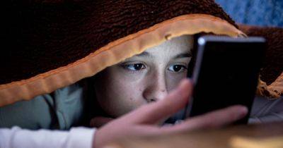 'Red flag' signs your child may be in danger online that parents can often miss - www.dailyrecord.co.uk - Britain