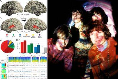 Brain activity used to reconstruct Pink Floyd song in scientific first - nypost.com - California - county Berkeley