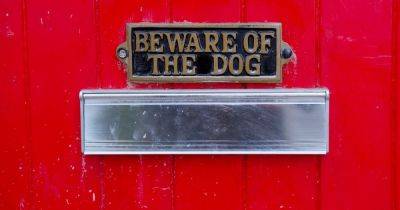The reason you should never have a 'beware of dog' sign at home to deter thieves - www.dailyrecord.co.uk - Beyond