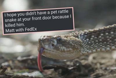 FedEx Driver Kills Rattlesnake RIGHT After Homeowner's Daughter Walks By In Nailbiting Ring Footage! WATCH! - perezhilton.com - county Dawson - state Nebraska