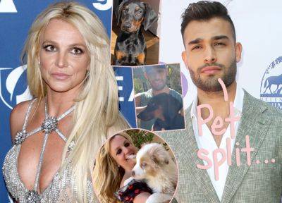 Britney Spears & Sam Asghari Have Already Agreed On Dog Custody Amid Divorce! - perezhilton.com - Australia