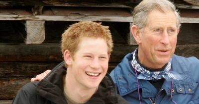 Prince Harry claims 'disapproving' King Charles stopped him from pursuing his dream job - www.dailyrecord.co.uk - Austria