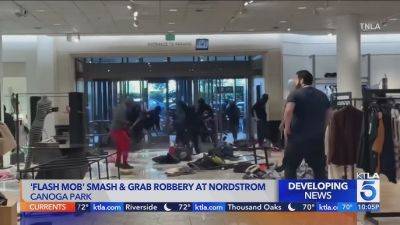 Flash Mob Task Force Arrests 11 More Suspects In Southern California Retail Robberies - deadline.com - Los Angeles - California - city Beverly - county Highland