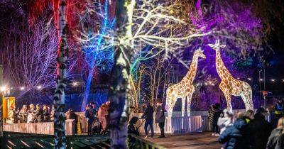 Christmas safari with illuminated animal trail confirmed at popular north west attraction - www.manchestereveningnews.co.uk - Santa