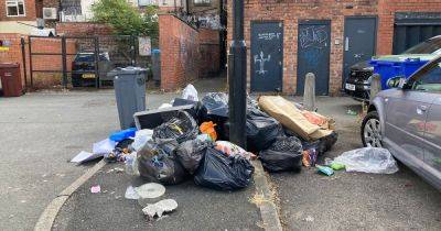 Greater Manchester council issued just ONE fly-tipping fine in 12 months - despite 4,000 reports - www.manchestereveningnews.co.uk - Manchester