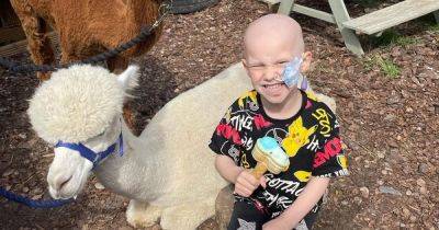 Ayrshire nursery celebrates with alpacas as brave boy smashes £250k cancer fundraiser - www.dailyrecord.co.uk - New York - county Mcdonald - county Andrew