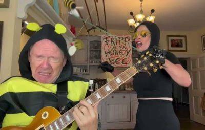 Toyah Willcox and Robert Fripp cover The Hives for Sunday Lunch - www.nme.com - Sweden