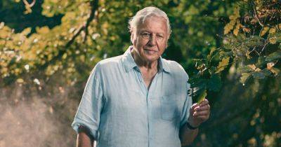 Sir David Attenborough to present Planet Earth III - aged 97 - www.manchestereveningnews.co.uk - Britain