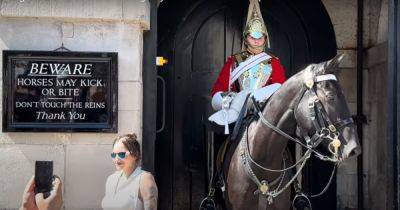 King's Guard hits emergency button as he loses control of horse in front of tourist crowds - www.dailyrecord.co.uk - Britain - London