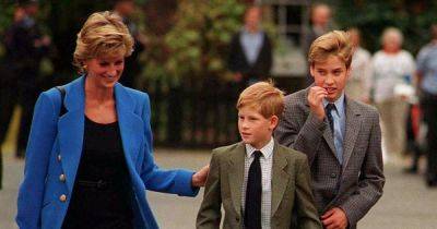 Prince Harry kept Diana's engagement ring for years for Meghan but William gave it to Kate - www.dailyrecord.co.uk