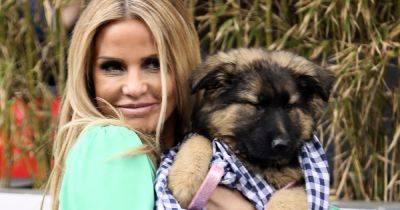 Katie Price blasted by fans for 'hitting puppy' as they call for 'pet ban' - www.ok.co.uk - France - Germany