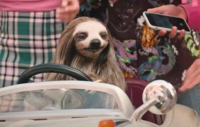 Social media reacts to trailer for “killer sloth” horror movie ‘Slotherhouse’: “Cinema is so back” - www.nme.com