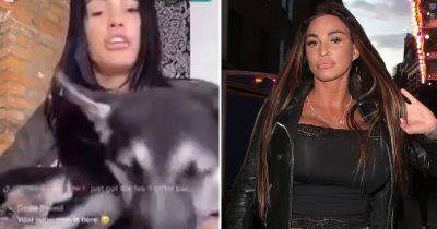 Katie Price sparks outrage among fans as she 'smacks' puppy during live video - www.dailyrecord.co.uk - Germany