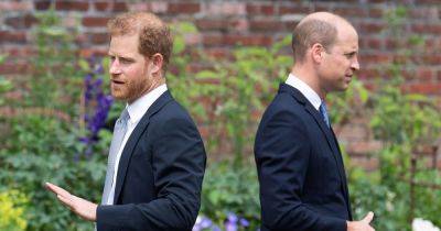 Harry and William used to be 'best friends' but now have 'non-existent' relationship - www.dailyrecord.co.uk - Paris - Scotland - USA