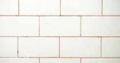 Clean tile grout with 'easy method' that lifts dirt and mould with no chemicals - www.dailyrecord.co.uk