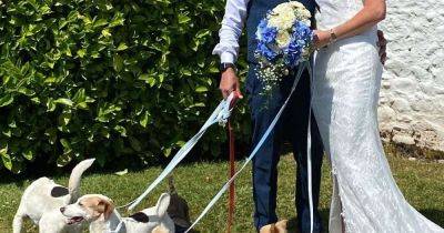 Wedding day was paws-itively perfect for couple who brought their dogs to Gretna ceremony - www.dailyrecord.co.uk - Scotland