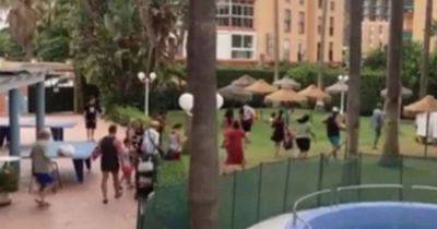 Holidaymakers caught on camera in mad dash for sun-loungers - as some families resort to queuing through night - www.manchestereveningnews.co.uk - Spain - county Garden - city Kent