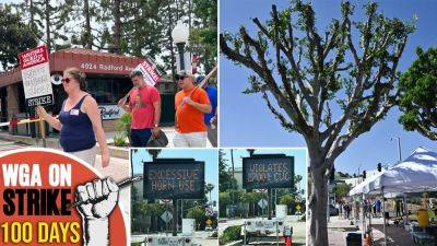 From Pruned Ficus Trees To Blocked Sidewalks: The Obstacles Picketers Had To Overcome During 100-Day WGA Strike - deadline.com - USA - California - city Burbank