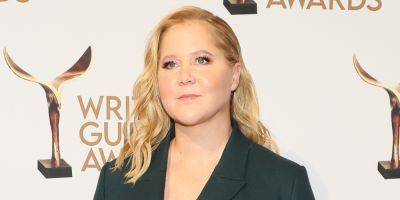 Amy Schumer Memes Herself in Response to Actors Promoting Work at Venice Film Festival Amid Strike - www.justjared.com - USA