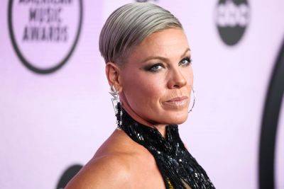 Pink Takes Swipe At ‘Hateful’ Troll For Comparing Her To Suzy Eddie Izzard - etcanada.com