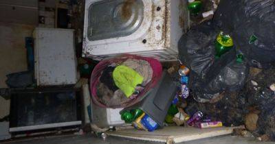 Woman banned for life from having pets after cat and dogs found in 'disgusting squalor' - www.manchestereveningnews.co.uk - Manchester