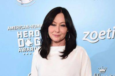 Shannen Doherty Tears Up As She Receives A Standing Ovation During ‘Beverly Hills, 90210’ Reunion Panel Amid Cancer Battle - etcanada.com - Florida - county Walsh