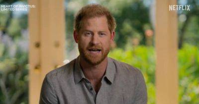 Prince Harry gave surprising response when royal aide accidentally addressed him as 'mate' - www.dailyrecord.co.uk