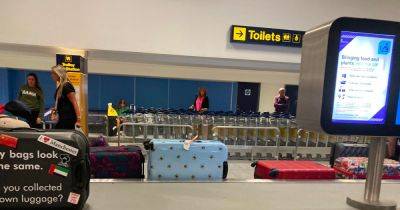 Matalan's bee suitcase made travelling from Manchester Airport so much easier - www.manchestereveningnews.co.uk - Manchester - Greece
