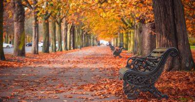 When does autumn 2023 officially start as equinox marks beginning of new season - www.dailyrecord.co.uk - Britain - Beyond