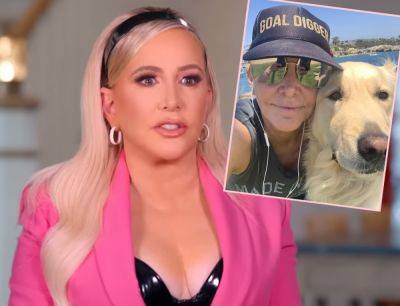 Shannon Beador Being Investigated By Animal Control -- For Endangering Her Pup During DUI! - perezhilton.com - county Newport