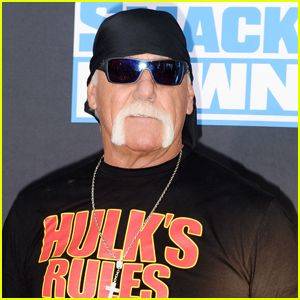 Hulk Hogan Marries Sky Daily Following Summer Engagement, 1 Family Member Missed the Wedding - www.justjared.com - Florida - county Clearwater