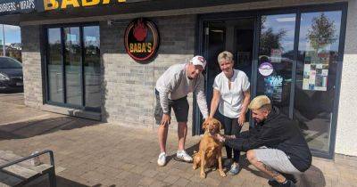Labrador missing for two weeks found safe and well after walking into Perth takeaway - www.dailyrecord.co.uk - Scotland