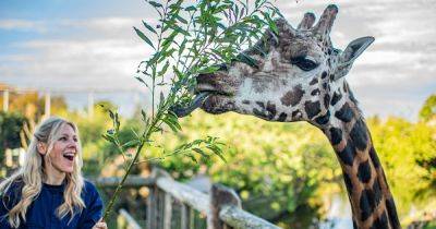A FREE wildlife festival is coming to Chester Zoo with children’s TV presenter Naomi Wilkinson - www.manchestereveningnews.co.uk - Britain - Manchester
