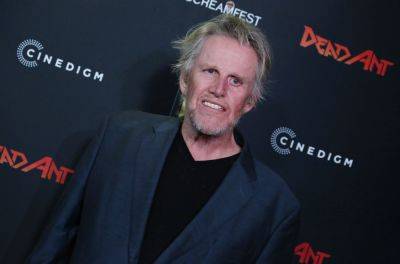 Gary Busey Allegedly Involved In California Hit-And-Run Accident - etcanada.com - California - Los Angeles