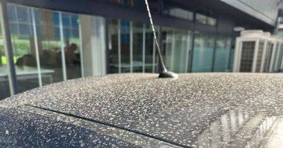 How keep your car clean as Sahara dust sweeps across UK - www.manchestereveningnews.co.uk - Britain - Manchester