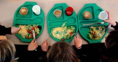 Humza Yousaf challenged to speed-up free school meals for Scots primary pupils as a 'priority' - www.dailyrecord.co.uk - Scotland